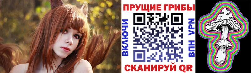 Галлюциногенные грибы мицелий  купить наркотик  Кувандык 